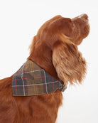 Barbour logo-dog-bandana-classic-tartan – Legend Story