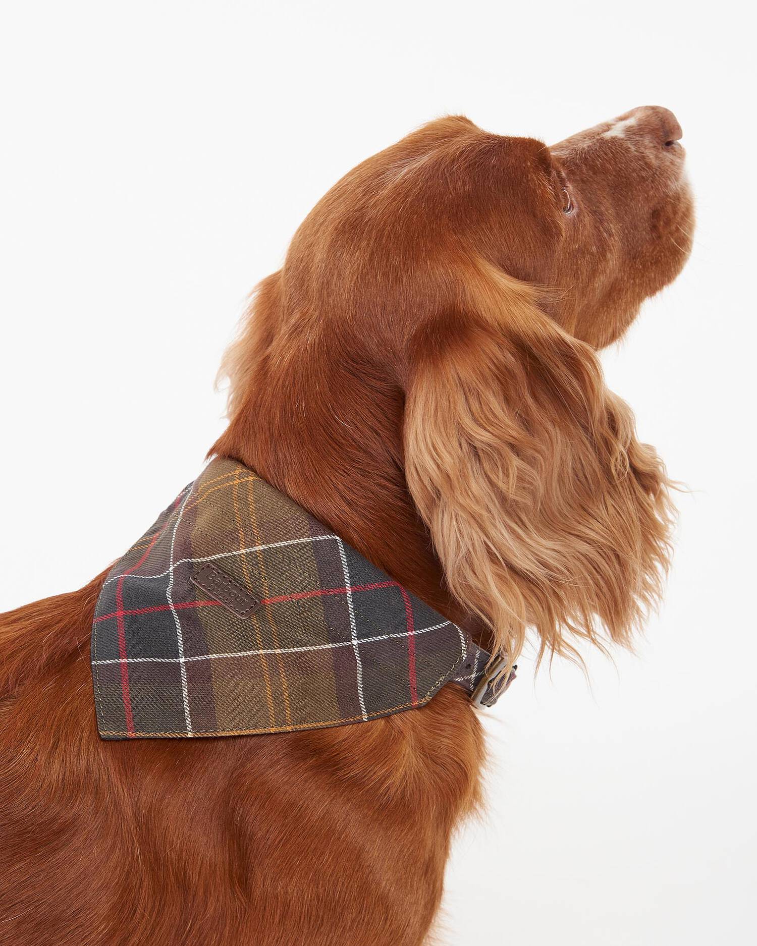 Barbour logo-dog-bandana-classic-tartan – Legend Story