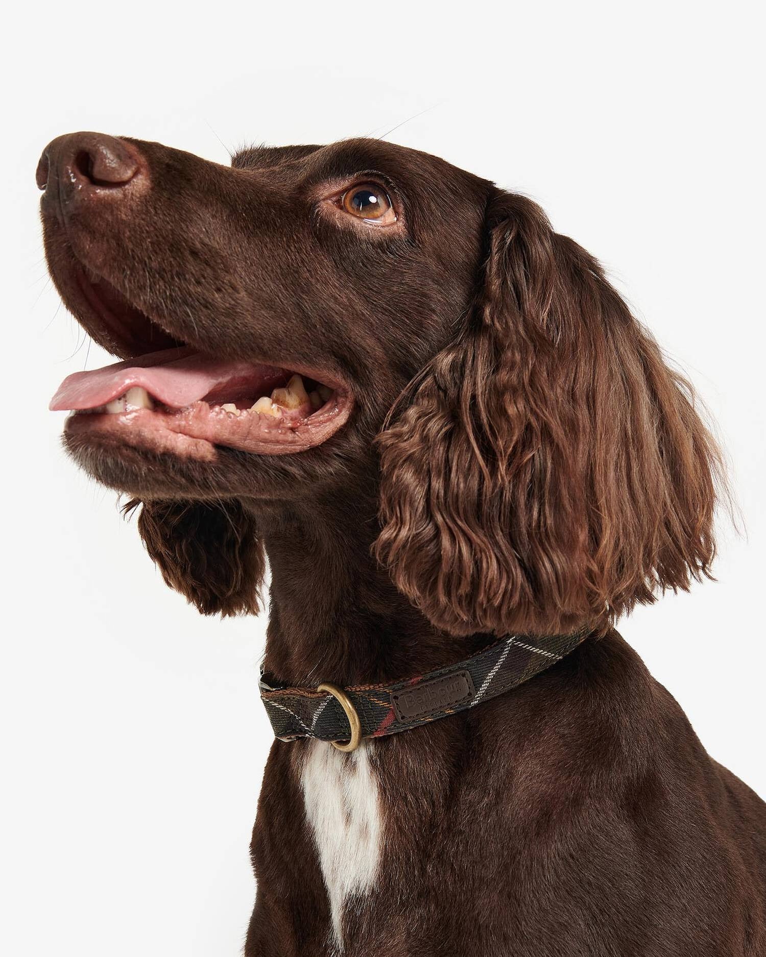Barbour tartan-webbing-collar-classic-tartan – Legend Story