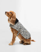 Barbour harley-quilted-dog-coat-jasmine-leopard – Legend Story