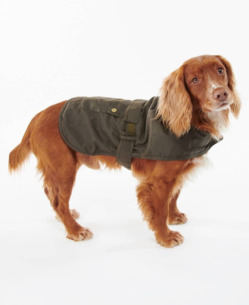Acheter votre Barbour 2 In 1 Wax Dog Coat Legend Story