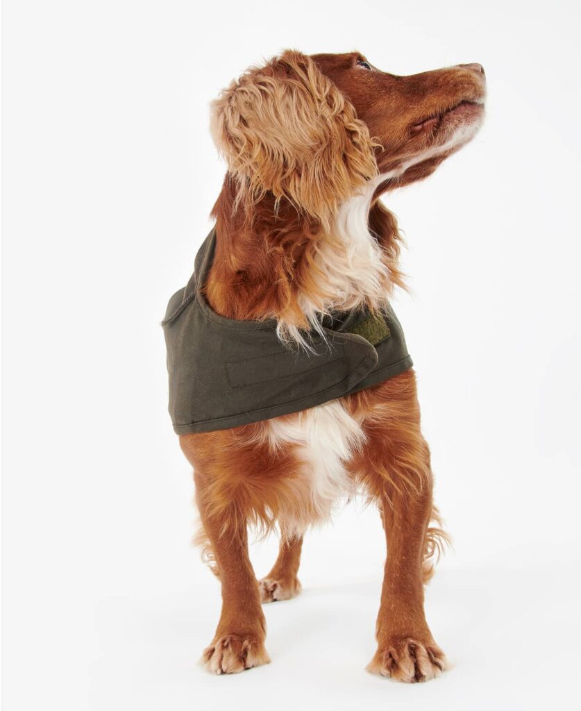 Acheter votre Barbour 2 In 1 Wax Dog Coat Legend Story
