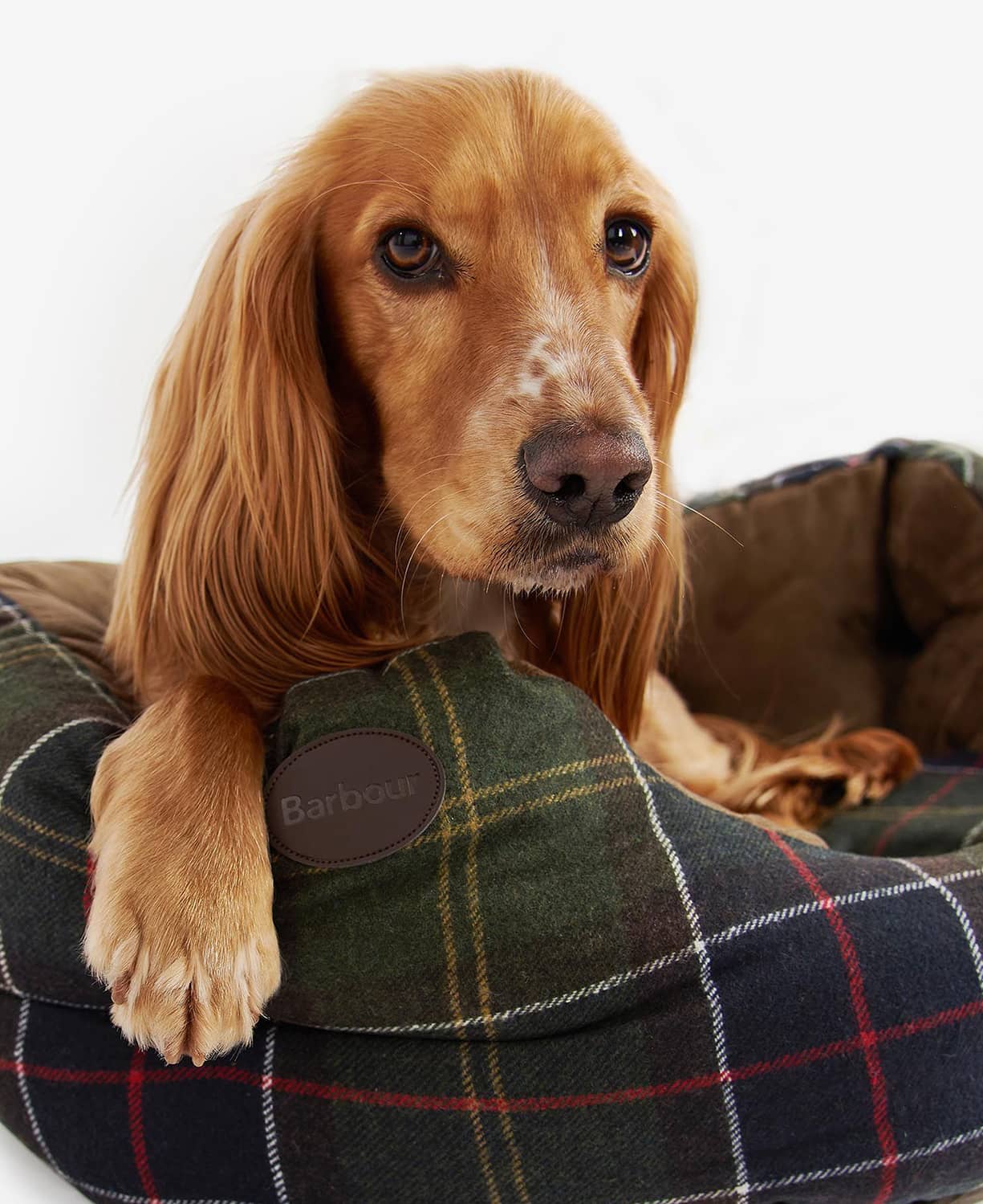 Barbour Luxury Dog Bed